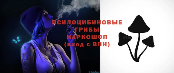 шишки Чекалин