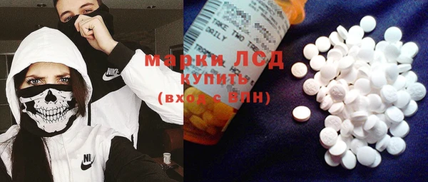 шишки Чекалин