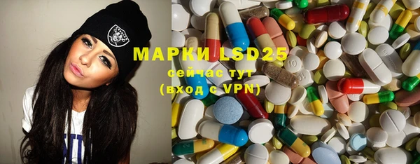 прущие грибы Шали