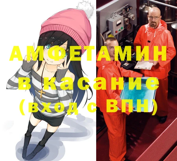 шишки Чекалин