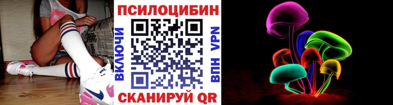 Купить  Чаплыгин  Псилоцибиновые грибы Magic Shrooms 