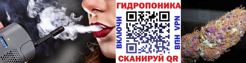 Купить  Чаплыгин  МАРИХУАНА сатива 